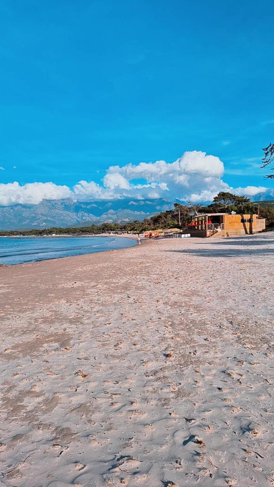 Studio Proche De La Mer Calvi  Exterior photo